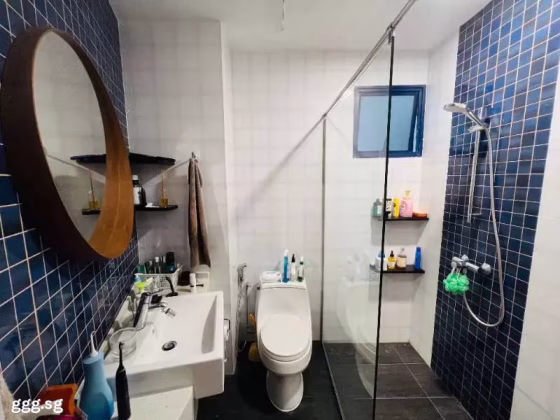 整套出租 • 诺维娜 •  Nineteen Shelford • S$3300 • 2房(1臥室) • 646ft² / 60m² 照片
