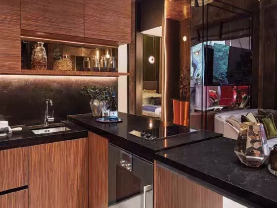 房屋出售 • 纽顿 •  Pullman Residences • S$1540000 • 共管公寓 • 463ft² / 43m² 照片