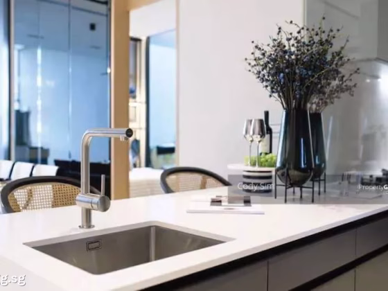 房屋出售 • 登加 •  Cairnhill Heights • S$3700000 • 共管公寓 • 1292ft² / 120m² 照片