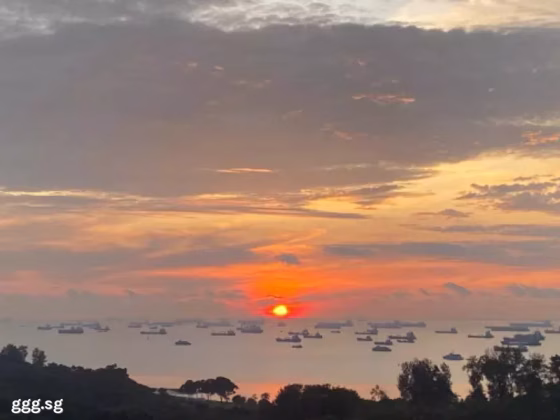 单间出租 • 武吉知马 •  The Bayshore • S$2000 • 住宅公寓 • 主人房 照片