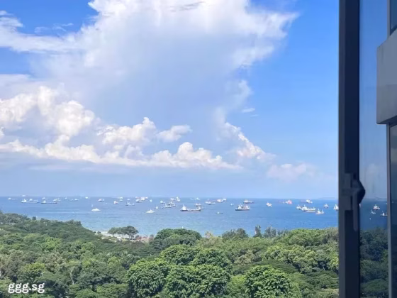 单间出租 • 武吉知马 •  The Bayshore • S$2000 • 住宅公寓 • 主人房 照片