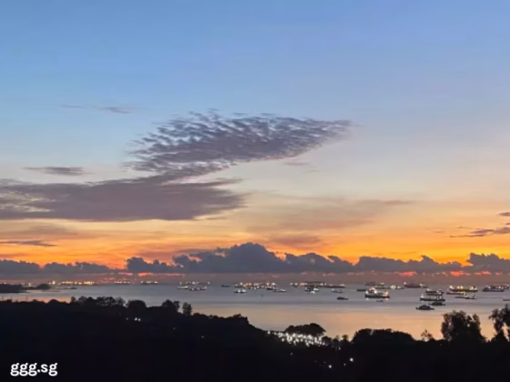 单间出租 • 武吉知马 •  The Bayshore • S$2000 • 住宅公寓 • 主人房 照片