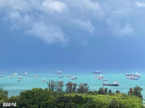单间出租 • 武吉知马 •  The Bayshore • S$2000 • 住宅公寓 • 主人房 照片
