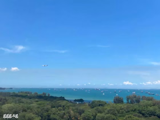 单间出租 • 武吉知马 •  The Bayshore • S$2000 • 住宅公寓 • 主人房 照片