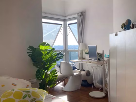 单间出租 • 武吉知马 •  The Bayshore • S$2000 • 住宅公寓 • 主人房 照片