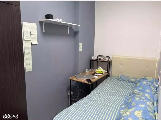 单间出租 • 梧槽 •  Orchid Park Condominium • S$820 • 共管公寓 • 普通房 照片