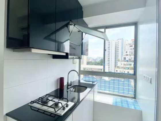 整套出租 • 纽顿 •  Bliss Loft • S$3300 • 住宅公寓 • 452ft² / 41m² 照片