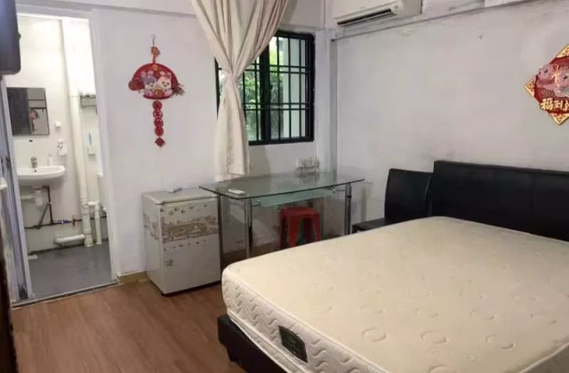 单间出租 • 中央集水区 • 229 Serangoon Avenue 4 • S$1500 • 4房(3臥室) • 主人房