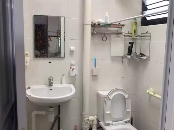 单间出租 • 中央集水区 • 229 Serangoon Avenue 4 • S$1500 • 4房(3臥室) • 主人房 照片