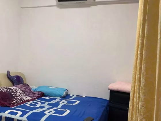 单间出租 • 欧南 •  Canberlin Apartments • S$1500 • 住宅公寓 • 主人房 照片