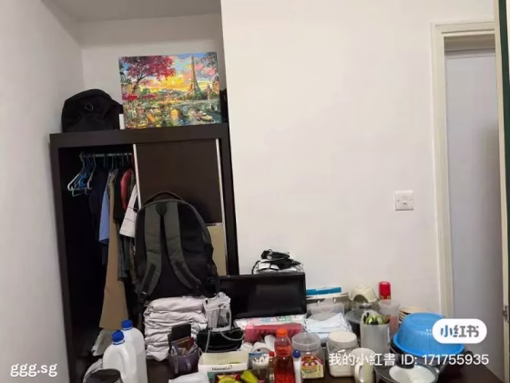 单间出租 • 欧南 •  Canberlin Apartments • S$1500 • 住宅公寓 • 主人房 照片