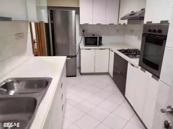 单间出租 • 纽顿 •  Parc Haven • S$1500 • 住宅公寓 • 普通房 照片