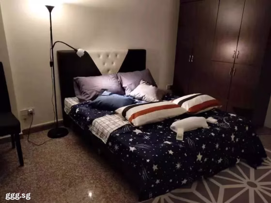 单间出租 • 纽顿 •  Parc Haven • S$1500 • 住宅公寓 • 普通房 照片