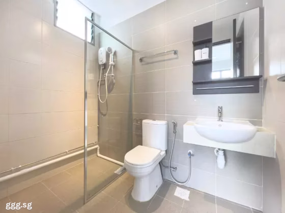 整套出租 • 林厝港 • BOON LAY DRIVE (649934) • S$2700 • 服务式公寓 • 360ft² / 33m² 照片