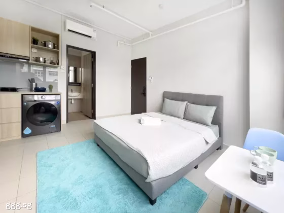 整套出租 • 林厝港 • BOON LAY DRIVE (649934) • S$2700 • 服务式公寓 • 360ft² / 33m² 照片
