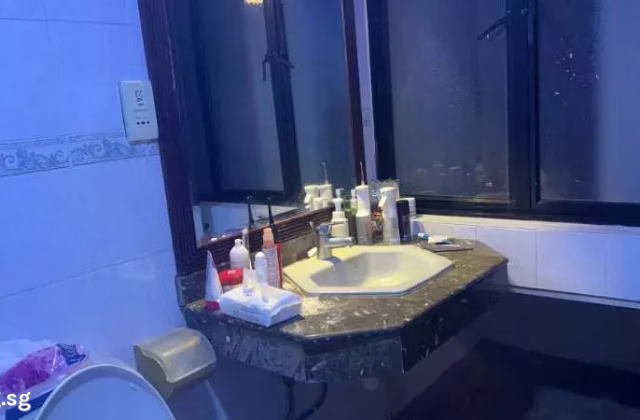 单间出租 • 登加 •  Cairnhill Plaza • S$3000 • 住宅公寓 • 主人房