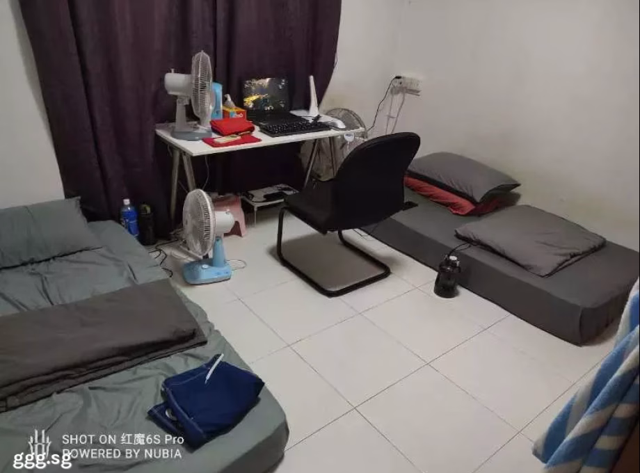 单间出租 • 马林百列 •  Macpherson Garden Estate • S$600 • 联排排屋 • 床位出租 照片