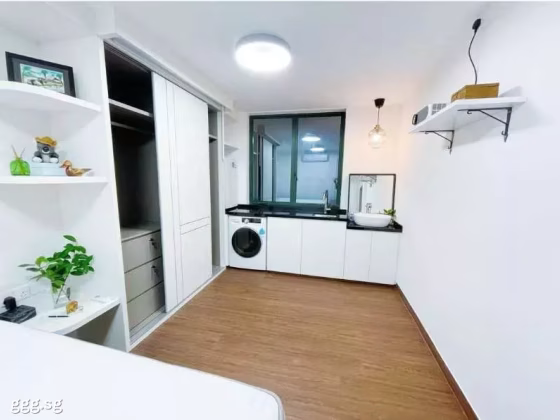 整套出租 • 博物馆 •  Pebble Bay • S$3000 • 共管公寓 • 250ft² / 23m² 照片