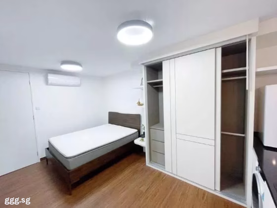 整套出租 • 博物馆 •  Pebble Bay • S$3000 • 共管公寓 • 250ft² / 23m² 照片