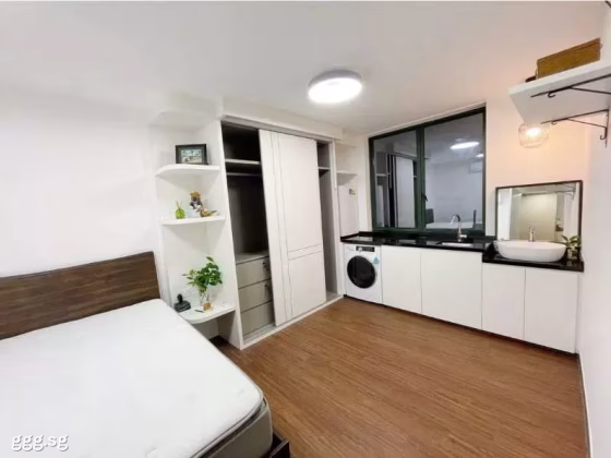 整套出租 • 博物馆 •  Pebble Bay • S$3000 • 共管公寓 • 250ft² / 23m² 照片