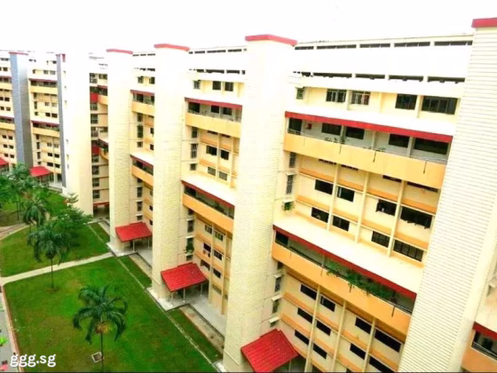 整套出租 • 乌节 • 612 Ang Mo Kio Avenue 4 • S$3500 • 4房(3臥室) • 960ft² / 89m² 照片