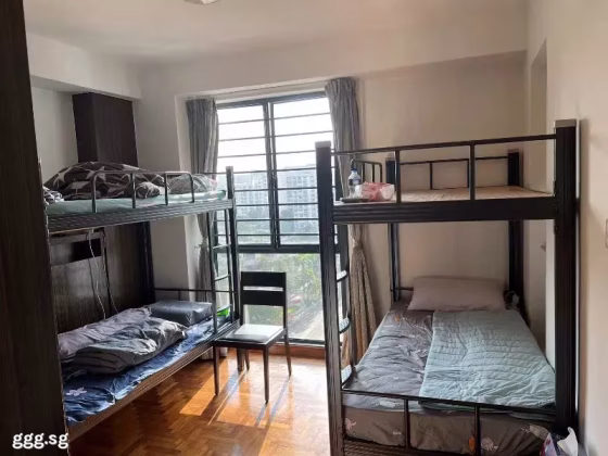 单间出租 • 新加坡河 •  Regentville • S$1500 • 住宅公寓 • 普通房 照片