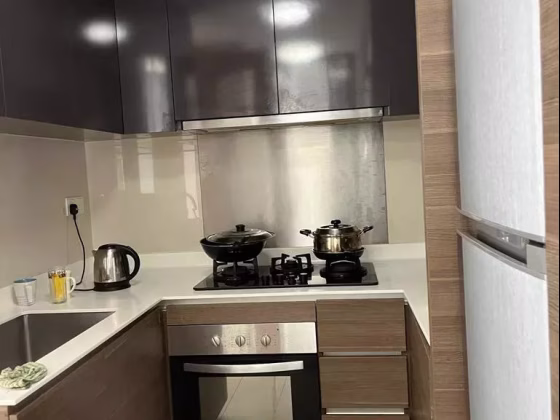 整套出租 • 红山 •  Foresque Residences • S$5000 • 共管公寓 • 1200ft² / 111m² 照片