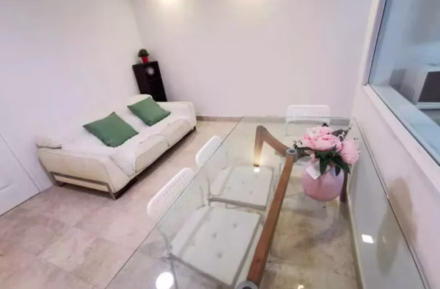 单间出租 • 南部群岛 •  Wilkie 87 • S$1600 • 住宅公寓 • 普通房