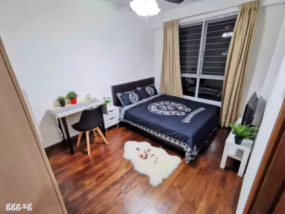 单间出租 • 南部群岛 •  Wilkie 87 • S$1600 • 住宅公寓 • 普通房 照片
