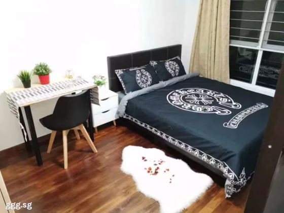单间出租 • 南部群岛 •  Wilkie 87 • S$1600 • 住宅公寓 • 普通房 照片