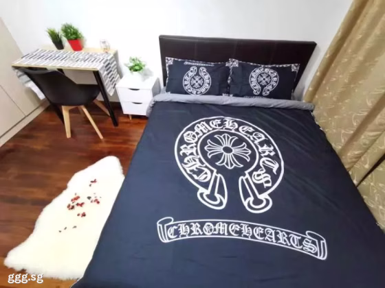 单间出租 • 南部群岛 •  Wilkie 87 • S$1600 • 住宅公寓 • 普通房 照片