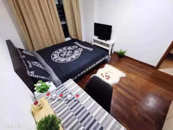 单间出租 • 南部群岛 •  Wilkie 87 • S$1600 • 住宅公寓 • 普通房 照片
