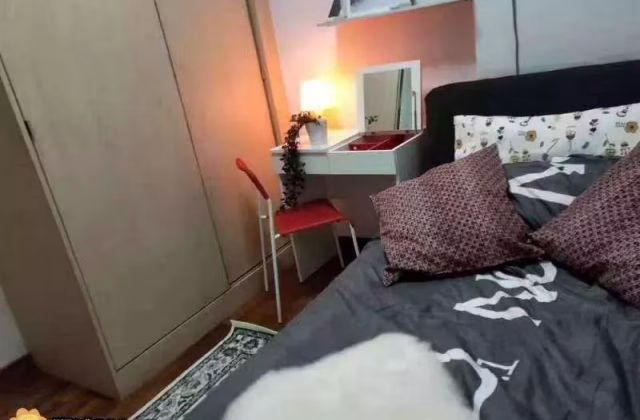 单间出租 • 纽顿 •  Papillon • S$1300 • 住宅公寓 • 普通房