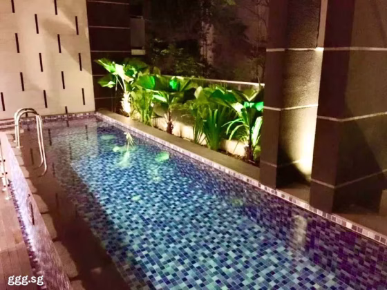 整套出租 • 欧南 •  Centra Studios • S$2800 • 住宅公寓 • 410ft² / 38m² 照片