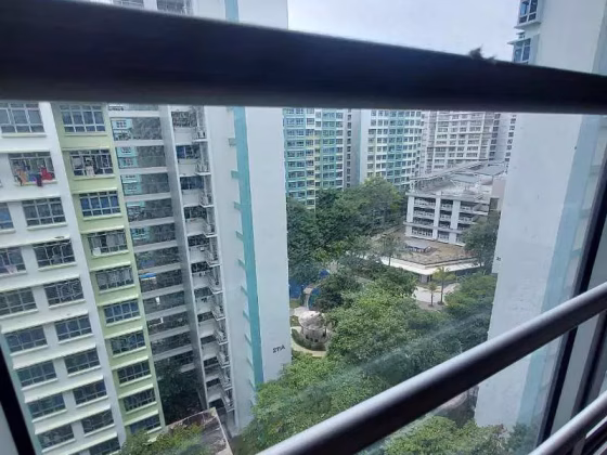 单间出租 • 碧山 • 210C Compassvale Lane • S$1300 • 3房(2臥室) • 主人房 照片