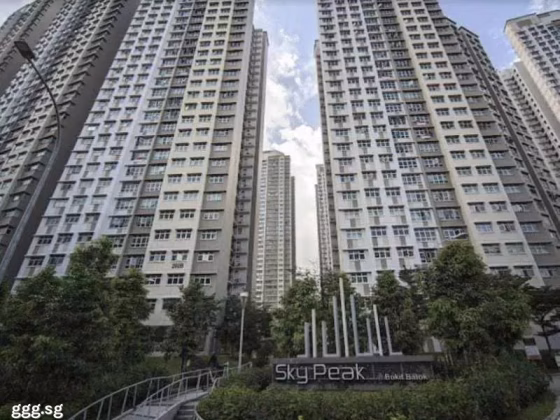 整套出租 • 武吉巴督 • 292B Bukit Batok East Avenue 6 • S$3900 • 3房(2臥室) • 1000ft² / 92m² 照片