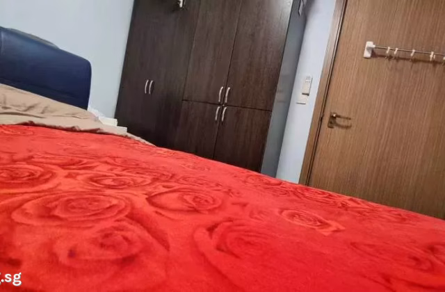 单间出租 • 武吉巴督 • 438B Bukit Batok West Avenue 8 • S$1300 • 4房(3臥室) • 普通房