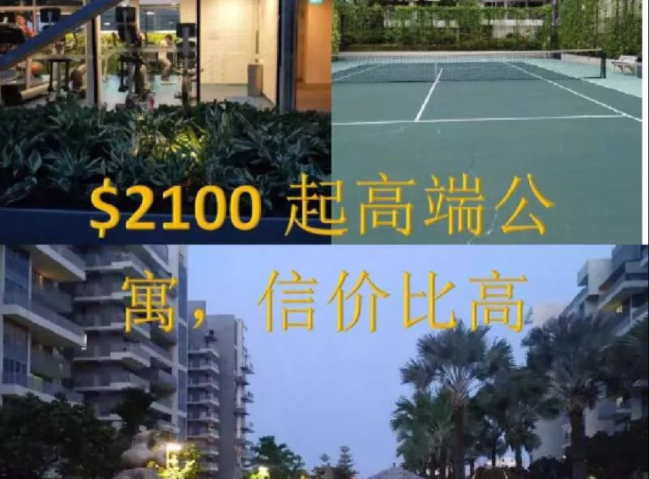 单间出租 • 武吉知马 •  Bedok Residences • S$2900 • 住宅公寓 • 主人房 照片