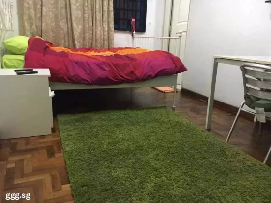 单间出租 • 欧南 •  Palm Lodge • S$1800 • 住宅公寓 • 主人房 照片