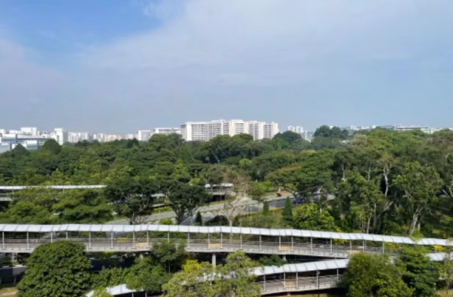 房屋出售 • 武吉知马 • 620 Bedok Reservoir Road • S$400000 • 3房(2臥室) • 646ft² / 60m²