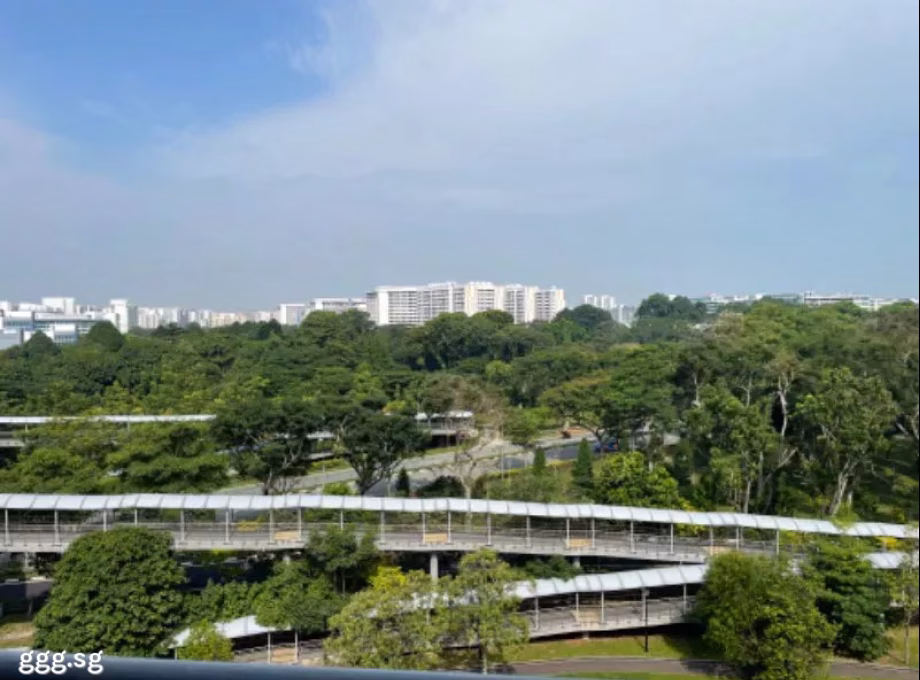 房屋出售 • 武吉知马 • 620 Bedok Reservoir Road • S$400000 • 3房(2臥室) • 646ft² / 60m² 照片