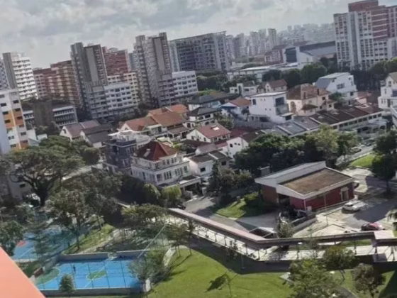 整套出租 • 新加坡河 •  Riverfront Residences • S$3200 • 住宅公寓 • 463ft² / 43m² 照片