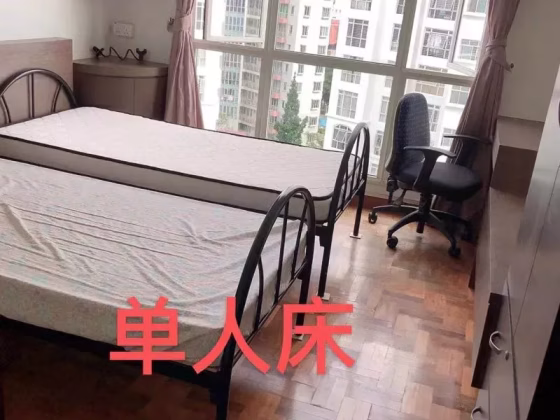 单间出租 • 三巴旺 •  Casablanca • S$600 • 住宅公寓 • 床位出租 照片