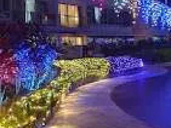 单间出租 • 林厝港 •  The Centris • S$1800 • 2房(1臥室) • 普通房 照片