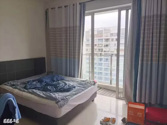 单间出租 • 林厝港 •  The Centris • S$1800 • 2房(1臥室) • 普通房 照片