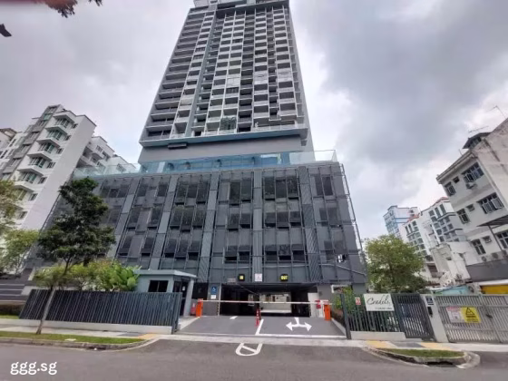 整套出租 • 纽顿 •  Cradels • S$3250 • 住宅公寓 • 463ft² / 43m² 照片