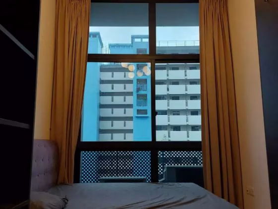整套出租 • 纽顿 •  Cradels • S$3250 • 住宅公寓 • 463ft² / 43m² 照片