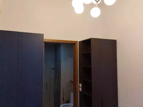 整套出租 • 纽顿 •  Cradels • S$3250 • 住宅公寓 • 463ft² / 43m² 照片