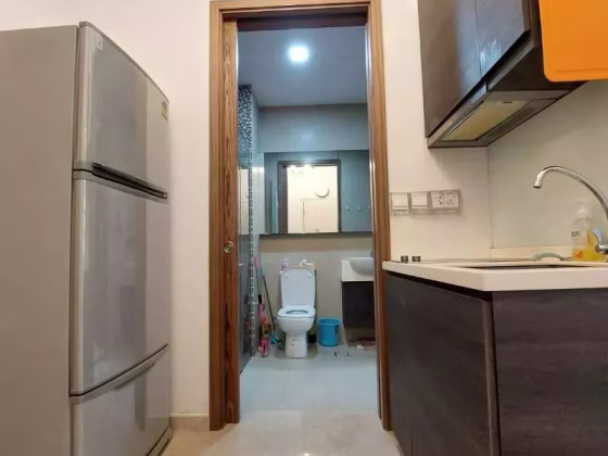 整套出租 • 纽顿 •  Cradels • S$3250 • 住宅公寓 • 463ft² / 43m² 照片