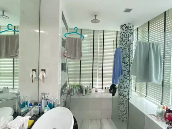 单间出租 • 中央集水区 •  Bayou Residence • S$2000 • 住宅公寓 • 主人房 照片